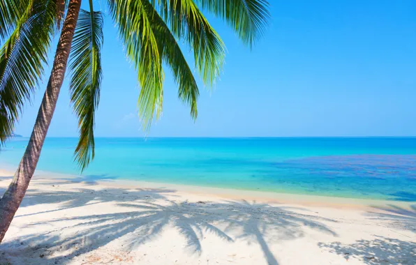 Picture sand, sea, beach, landscape, reflection, Palma, blue sky