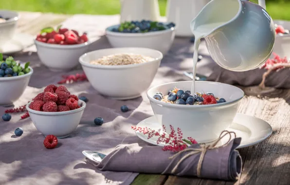 Berries, Breakfast, milk, wood, granola