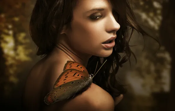 Picture look, girl, butterfly, profile, brown hair, shoulder, curls