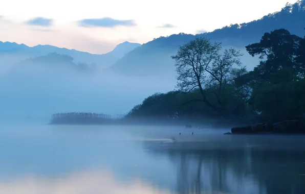 Picture mountains, fog, lake, morning