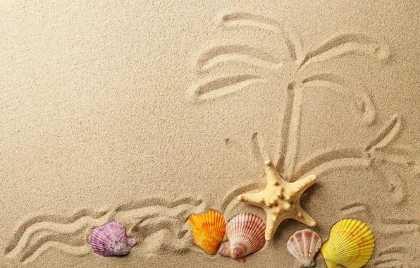 Sand, figure, shell