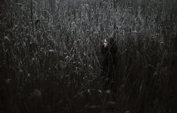 Picture tall grass, girl, frost