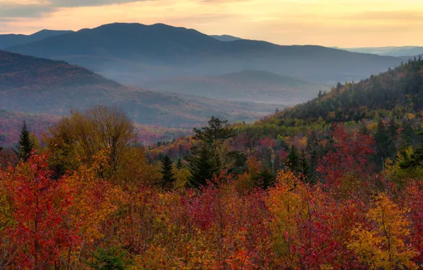 Picture autumn, forest, mountains, foliage