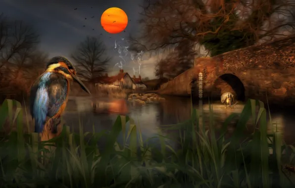 Grass, the sun, sunset, birds, bridge, rendering, tree, shore