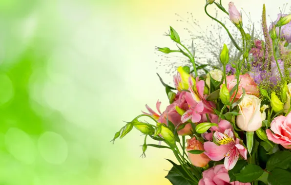 Background, roses, bouquet, buds, eustoma