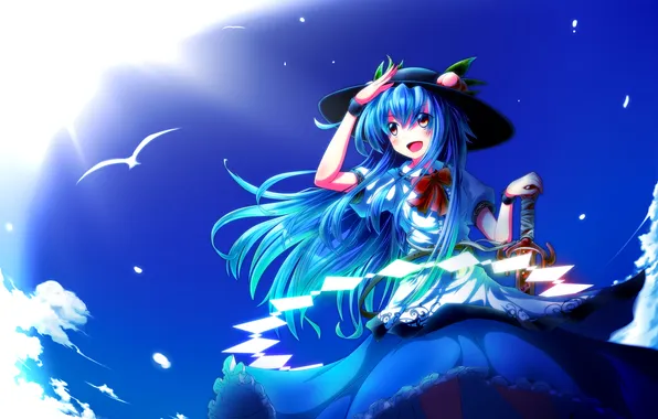 Picture the sky, look, girl, the sun, joy, weapons, seagulls, touhou