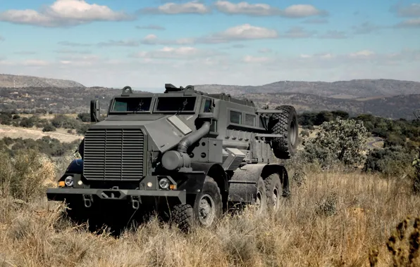 Grass, nature, APC, BAE Systems, Casspir Mk6