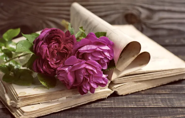 Vintage, wood, flowers, beautiful, peonies, purple, book, peony