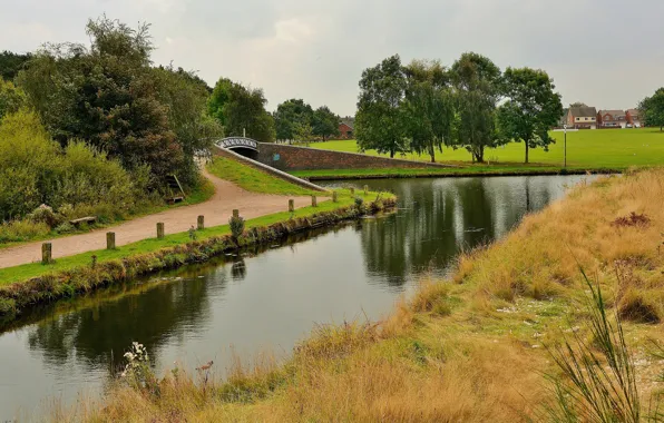 Picture grass, trees, river, photo, England, Pelsall
