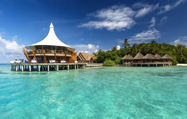 Wallpaper the ocean, palm trees, fantastic Maldives, exotic, the hotel