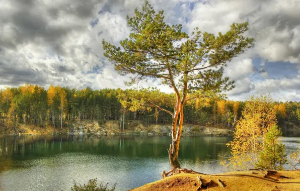 Autumn, forest, the sky, clouds, trees, lake