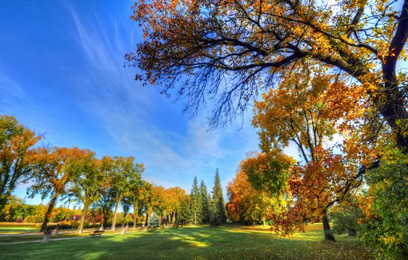 Picture autumn, the sky, grass, trees, Park, track, bench