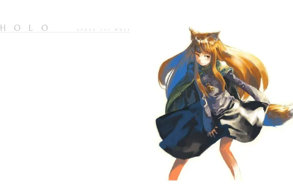 Smile, tail, white background, ears, Cape, Spice and wolf, art, Horo