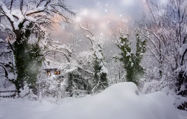 Winter, snow, trees, landscape, nature, house, the snow, snowfall