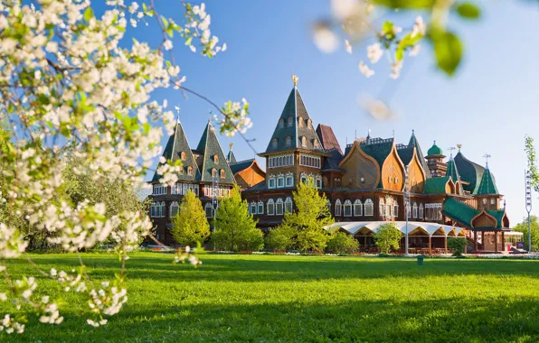 Picture grass, branches, lawn, spring, Moscow, wooden, Russia, architecture