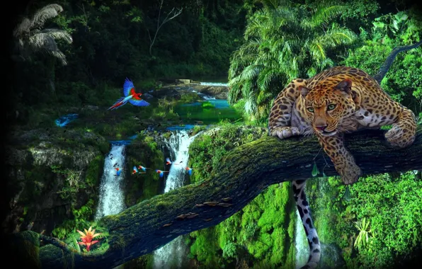 Waterfall, leopard, Jungle