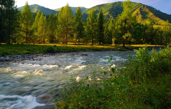 The sky, grass, water, trees, mountains, nature, river, stones