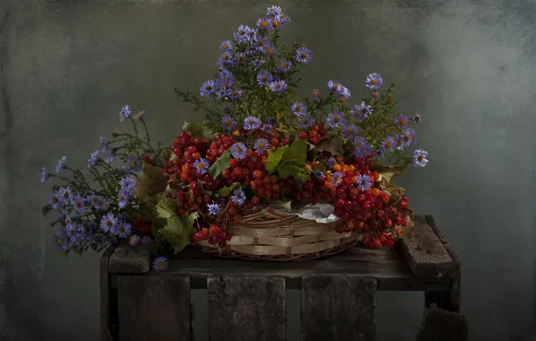 Flowers, berries, basket, Kalina, santbrink