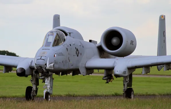 Picture attack, the airfield, A-10, Thunderbolt II, The thunderbolt II