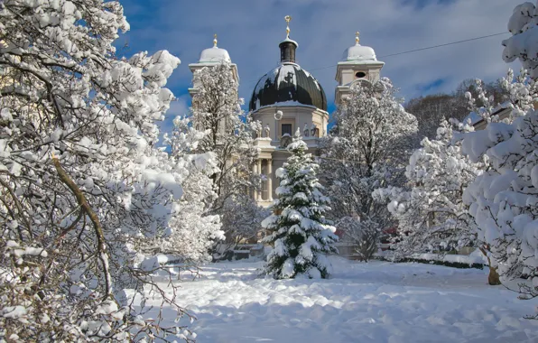 Picture winter, snow, trees, nature, the city, Austria, Church, Cathedral