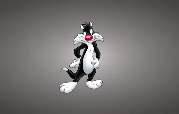 Picture Sylvester the Cat, Looney Tunes, The Cat Sylvester, Looney Tunes, Funny ringtones