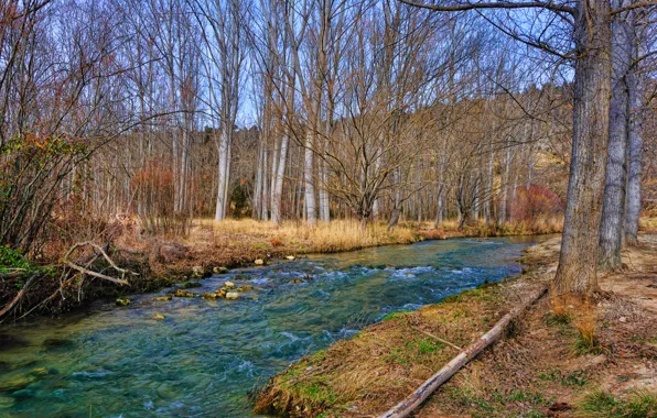 Picture autumn, stream, river, Nature, river, autumn