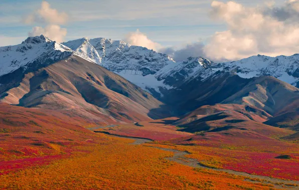 The sky, snow, flowers, mountains, river, stream, meadow