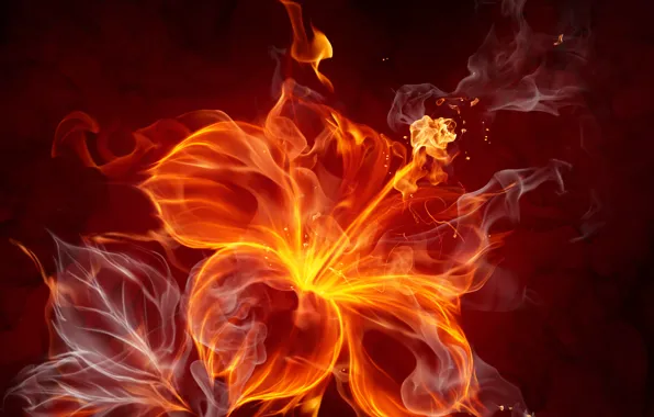 Picture flower, abstraction, fire