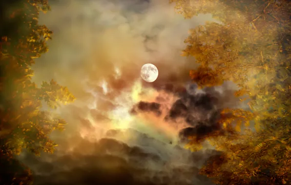 Autumn, the sky, clouds, trees, The moon