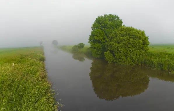 Trees, fog, reflection, dal, morning, channel, haze, river