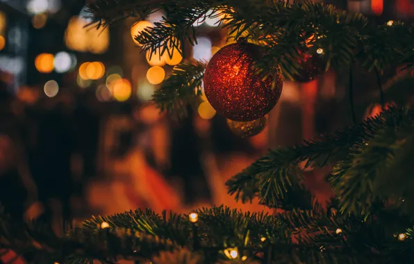 Winter, balls, branches, red, holiday, balls, toy, Shine