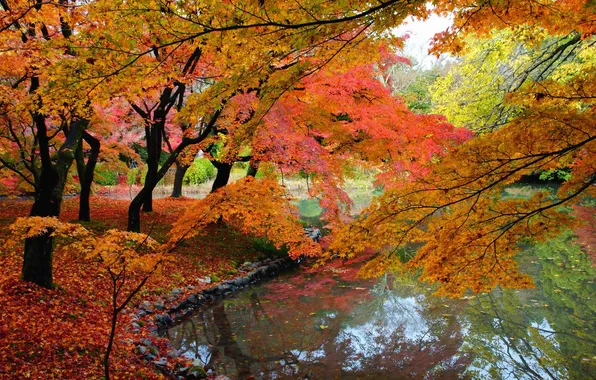 Autumn, leaves, water, trees, pond, Park, stones