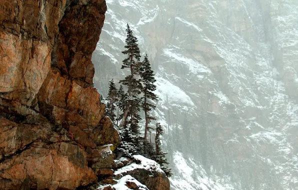 Trees, mountains, nature, rocks, Colorado, Rocky Mountain National Park