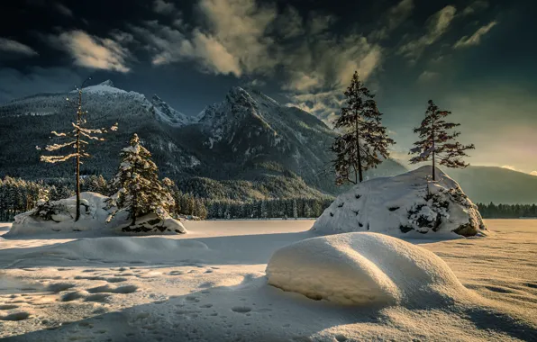 Winter, snow, trees, mountains, Germany, Bayern, Alps, the snow