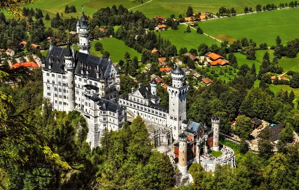 Picture trees, castle, tower, valley, Bayern, Germany, Neuschwanstein