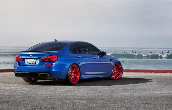 Blue, reflection, bmw, BMW, shadow, back, f10, monte carlo blue