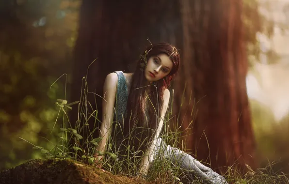 Forest, girl, fantasy, art, Elf, Agnieszka Lorek