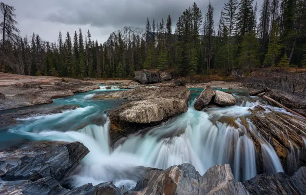 Picture forest, mountains, rocks, waterfall, Canada, Albert