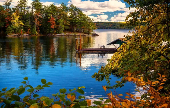Autumn, trees, branches, lake, island, Marina, New York, New York
