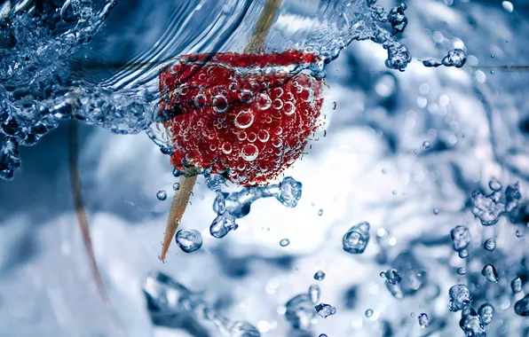 Water, raspberry, ice, toothpick, water bubbles