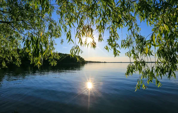 Picture the sky, the sun, rays, trees, sunset, lake, pond, reflection