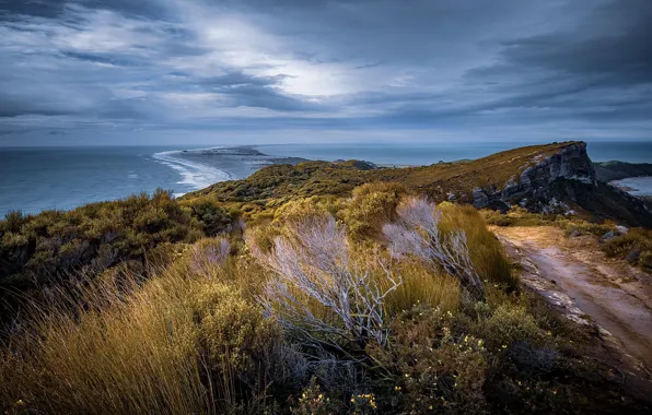 The ocean, coast, New Zealand