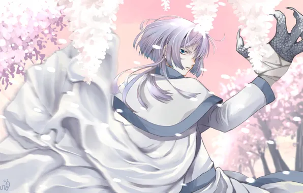 Anime, art, guy, Dawn Yona, Akatsuki no Yona, white dragon
