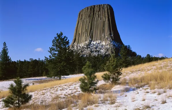 Picture forest, grass, snow, mountain, Wyoming, USA, Devil's Tower