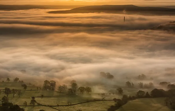 Landscape, sunset, nature, fog