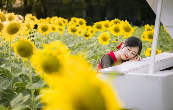Girl, sunflowers, nature, piano, Asian