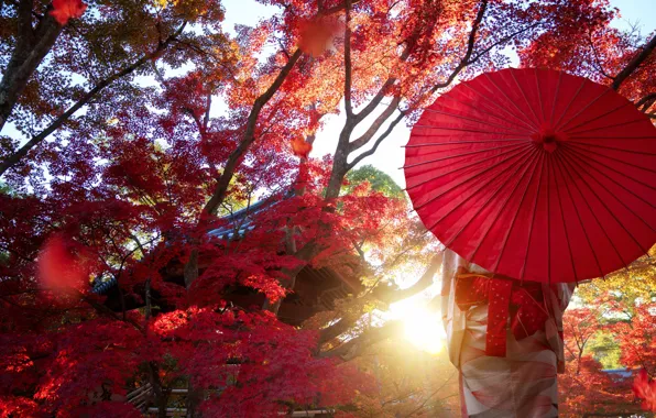 Picture autumn, girl, light, trees, branches, red, Park, foliage