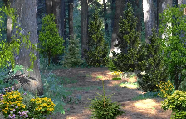 Summer, flowers, glade, taiga, Cedar forest