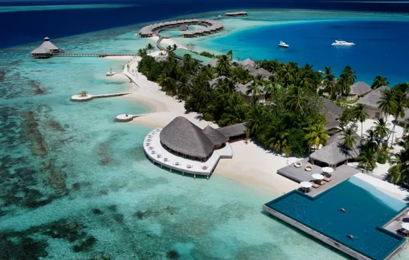 Picture palm trees, the ocean, island, the hotel, exotic, Maldives