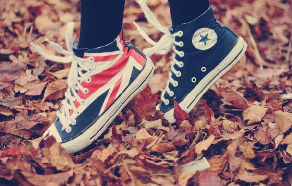 Autumn, leaves, nature, movement, situation, foliage, sport, shoes
